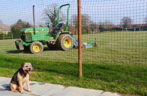 grass cutting